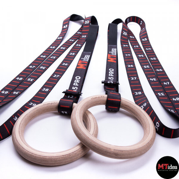 gymnastic rings