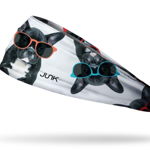 Big Bang Lite Puppy Shades